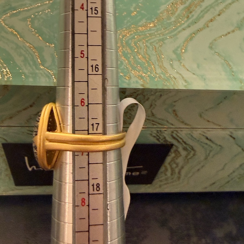 Pave Circular Ring - image 2